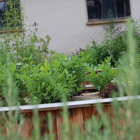 Sdr. Bjert Mini-hôtel