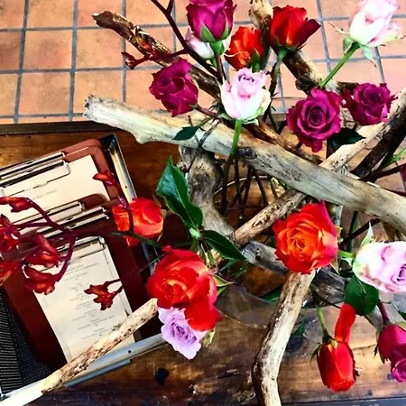 Sdr. Bjert Bjert Strand